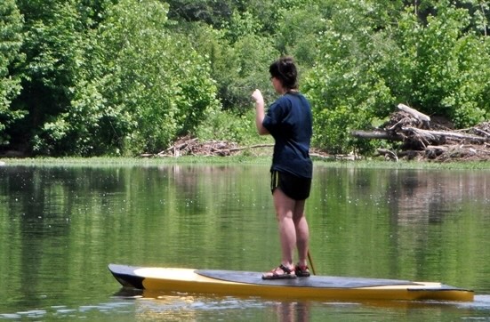 Boardyak